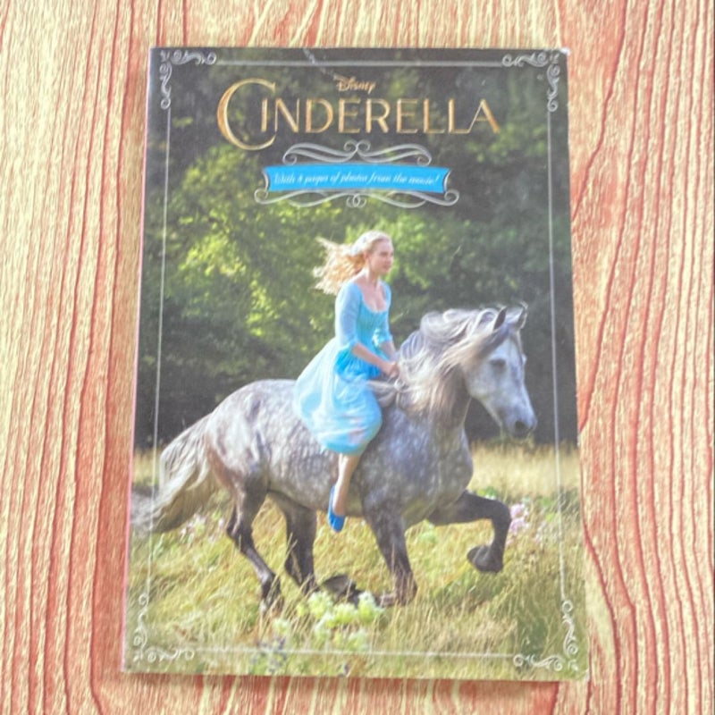 Cinderella Junior Novel
