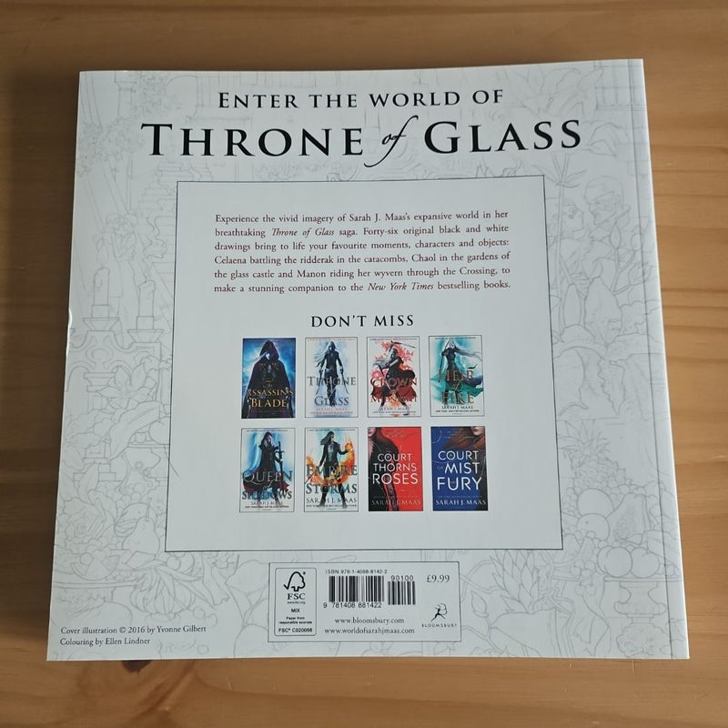 The Throne of Glass Colouring Book