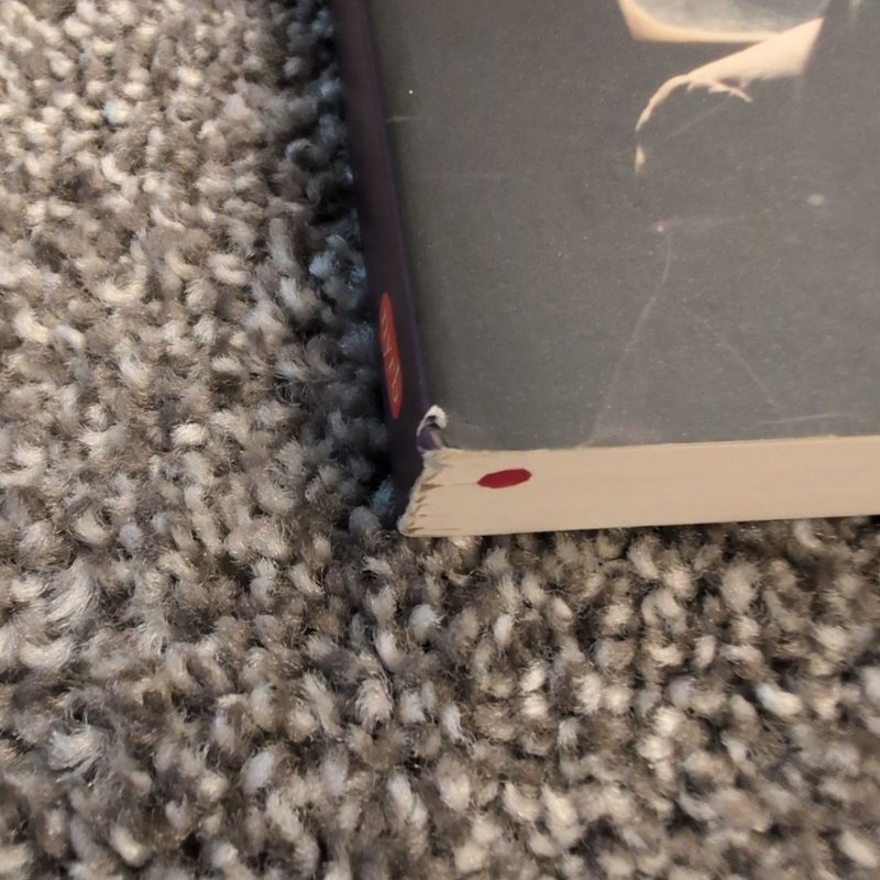 Mr. Fortune's Maggot