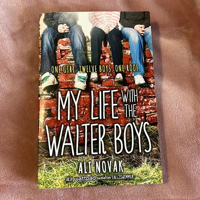 My Life with the Walter Boys by Ali Novak, Paperback