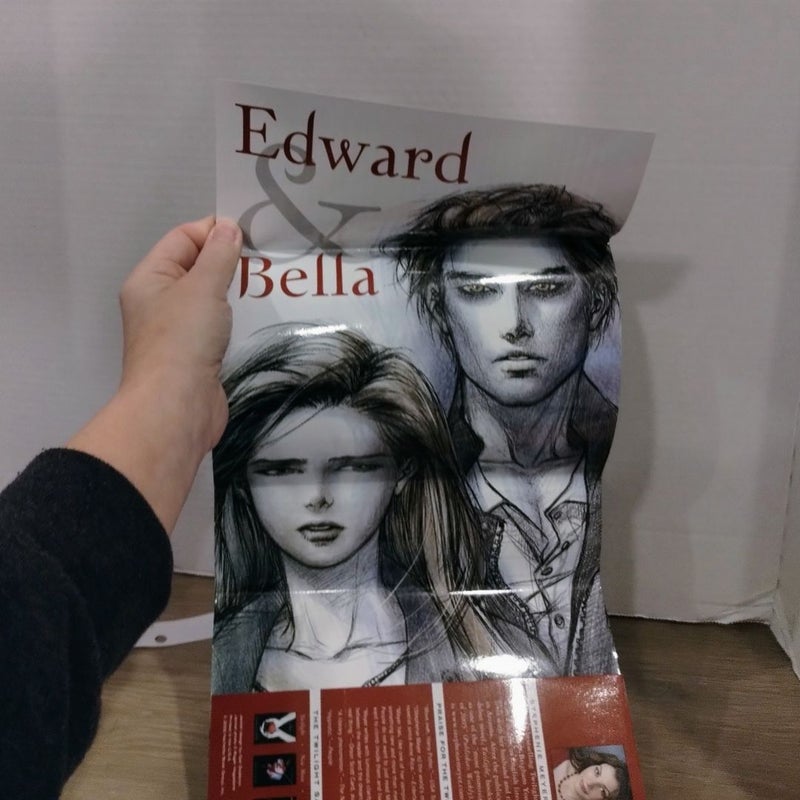 SPECIAL EDITION Breaking Dawn (First Edition First Printing)