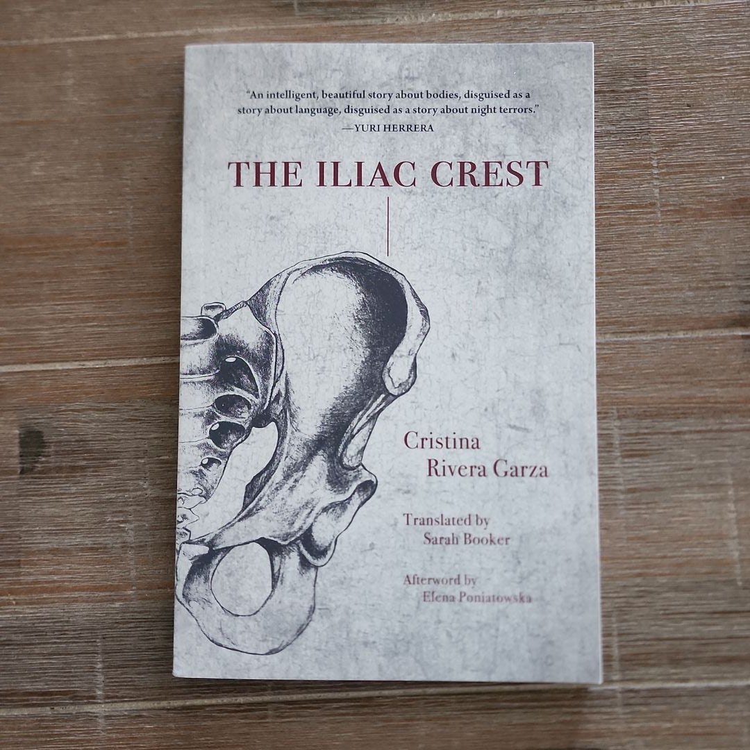 The Iliac Crest