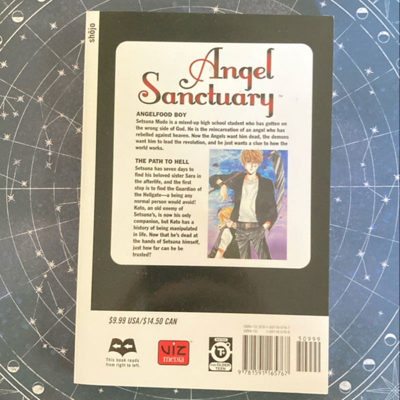 Angel Sanctuary, Vol. 5