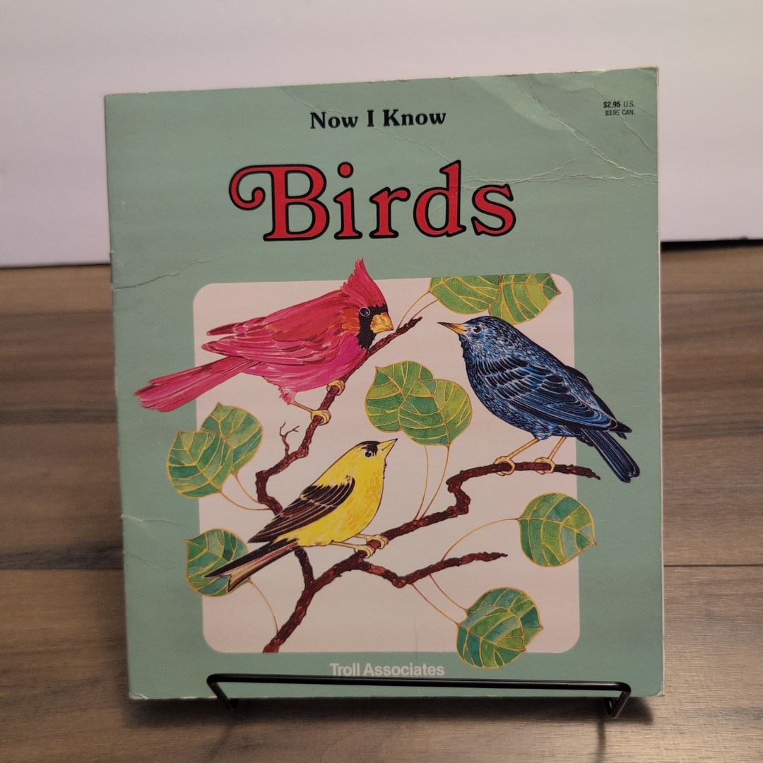Now I Know Birds (1982)
