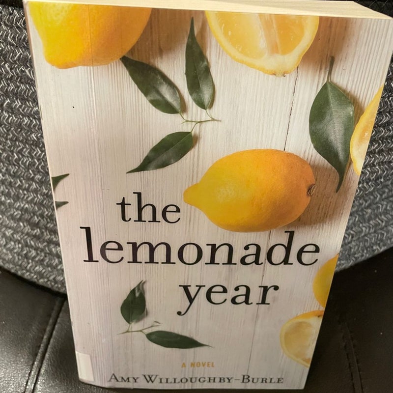 The Lemonade Year