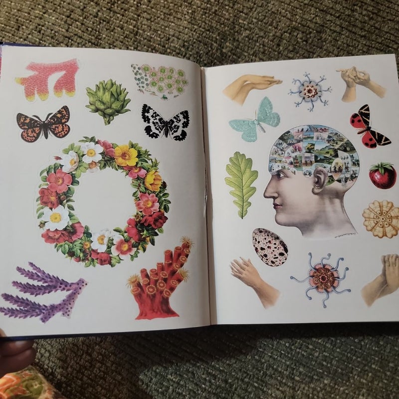 The Antiquarian Sticker Book