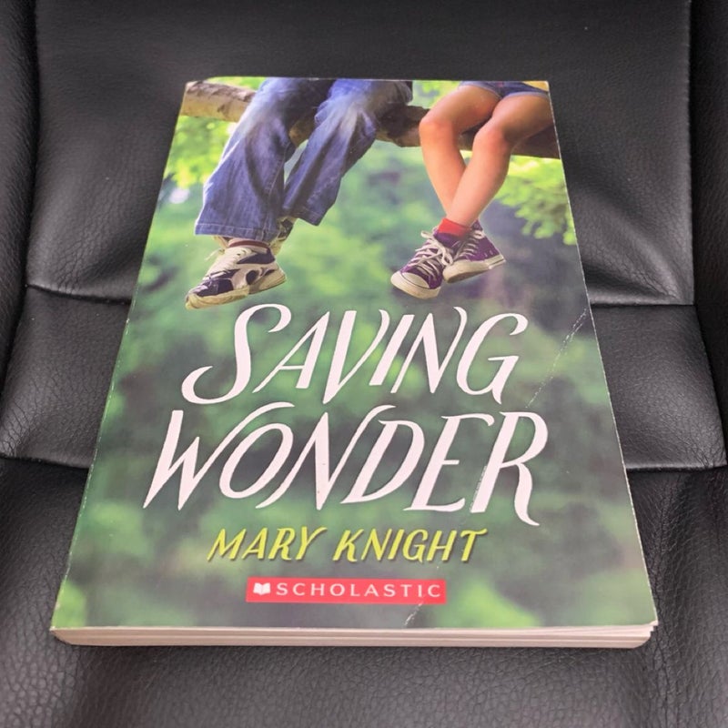 Saving Wonder