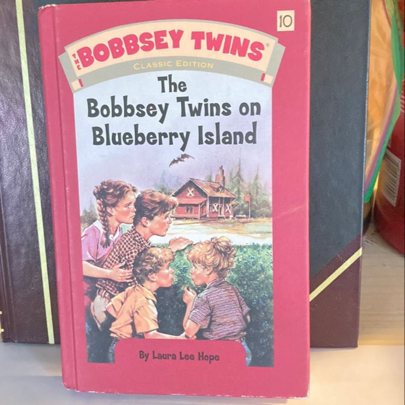 The Bobbsey Twins on Blueberry Island