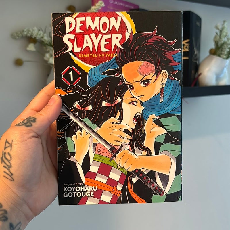 Demon Slayer: Kimetsu No Yaiba, Vol. 1