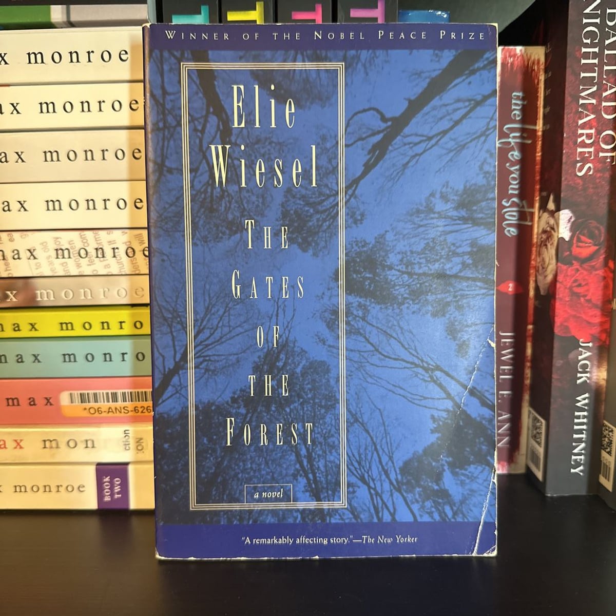 The Gates of the Forest by Elie Wiesel, Paperback Pangobooks