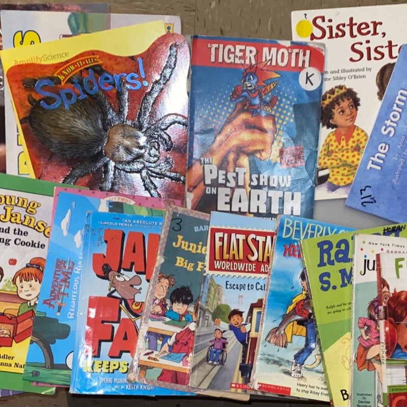 Kids book bundle featuring Junie B Jones, and Flat Stanley