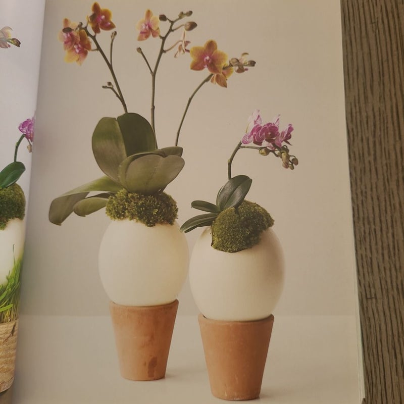 Flowers Chic and Cheap