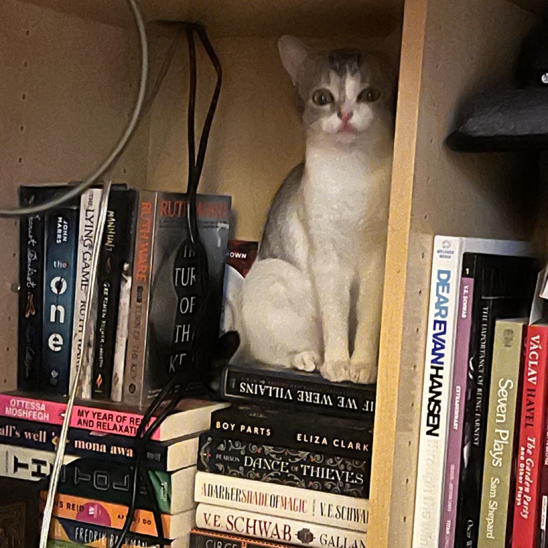 Cass’s Books