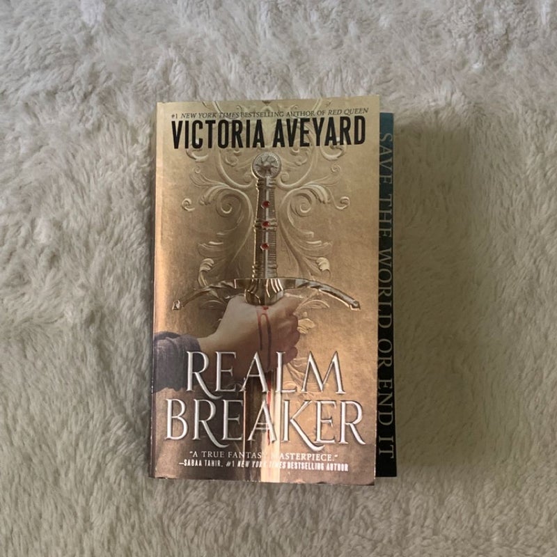Realm Breaker