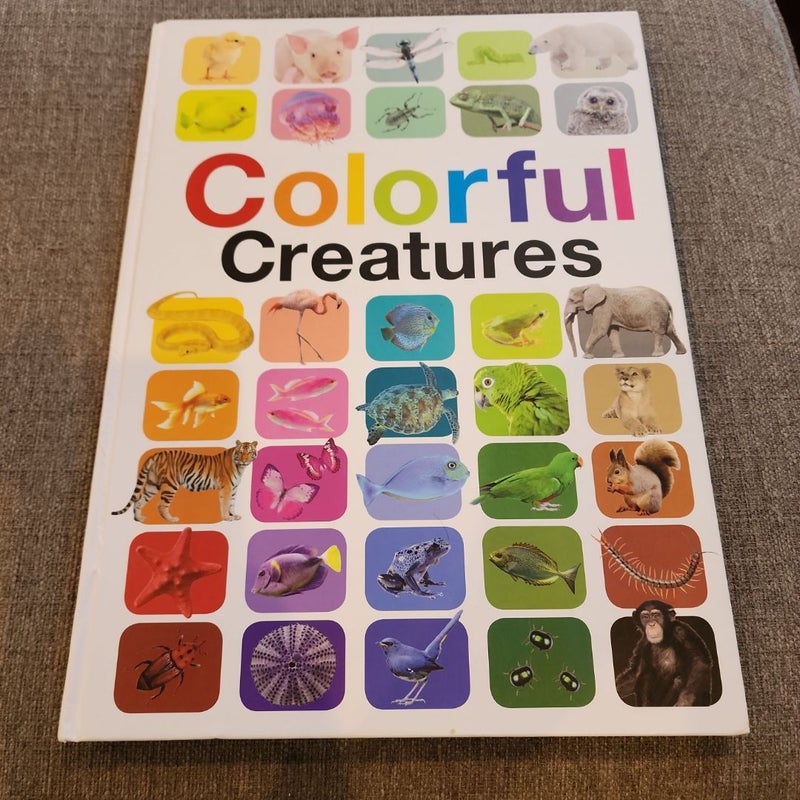 Colorful Creatures