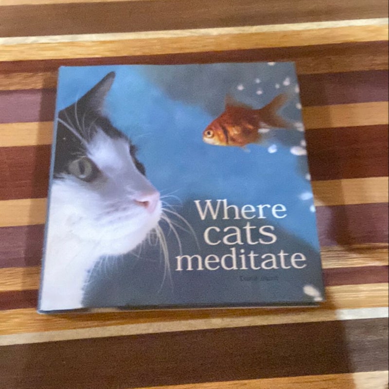 Where Cats Meditate