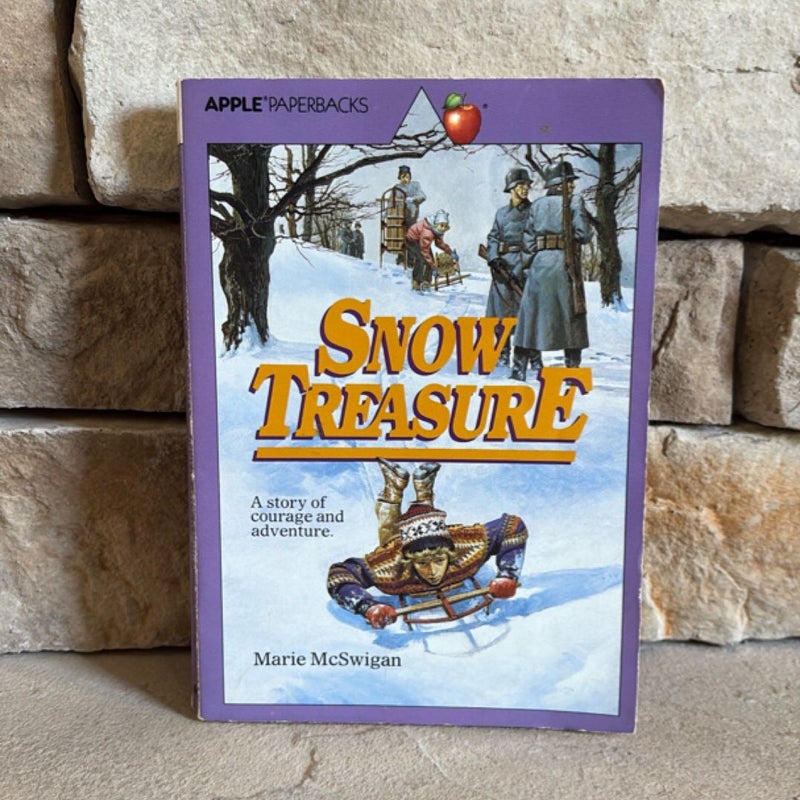 Snow Treasure