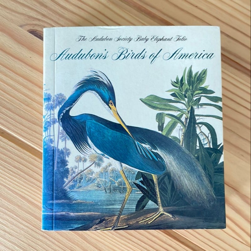 Audubon's Birds of America