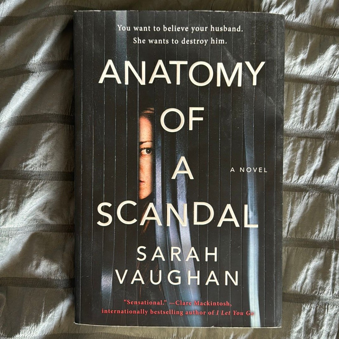 Anatomy of a Scandal