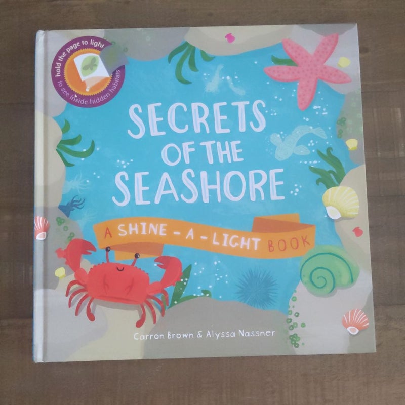 Secrets of the Seashore