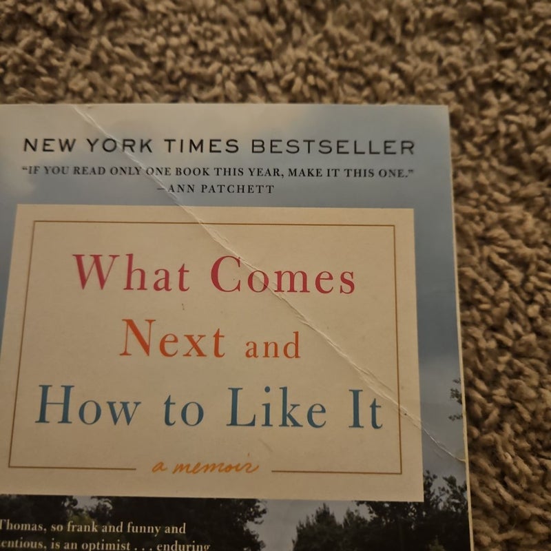 What Comes Next and How to Like It