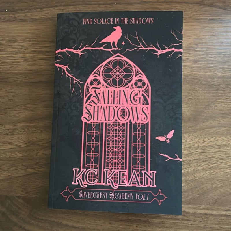 Falling Shadows - Spiced Book Box Special Edition 