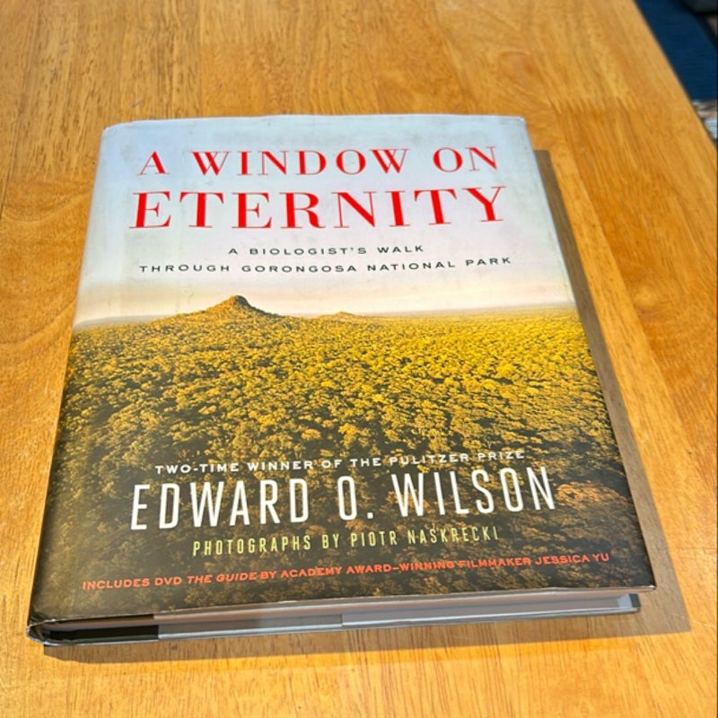 A Window on Eternity