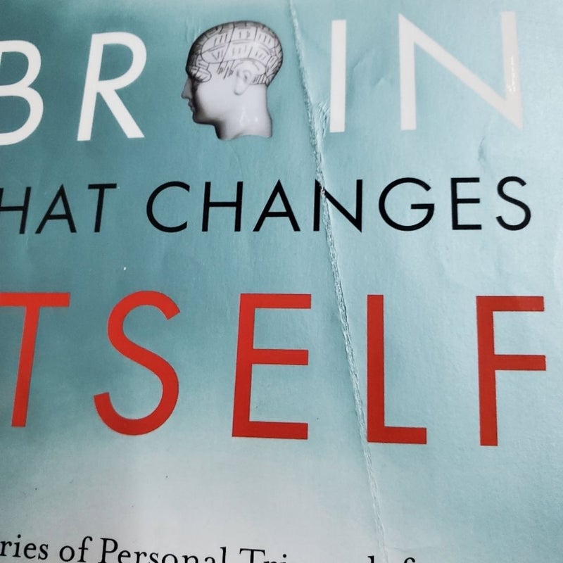 The Brain That Changes Itself