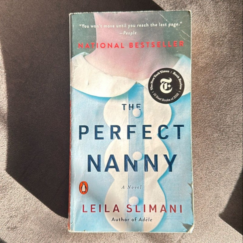 The Perfect Nanny