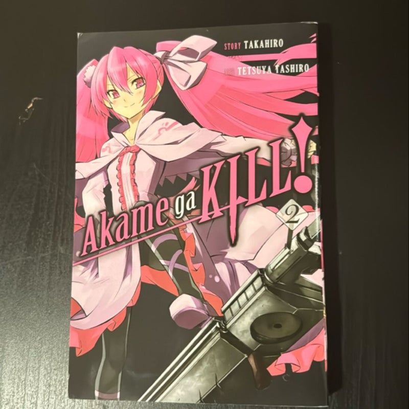 Akame Ga KILL!, Vol. 2