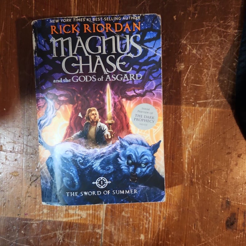 Magnus Chase and the Gods of Asgard Book 1 the Sword of Summer (Magnus Chase and the Gods of Asgard Book 1)