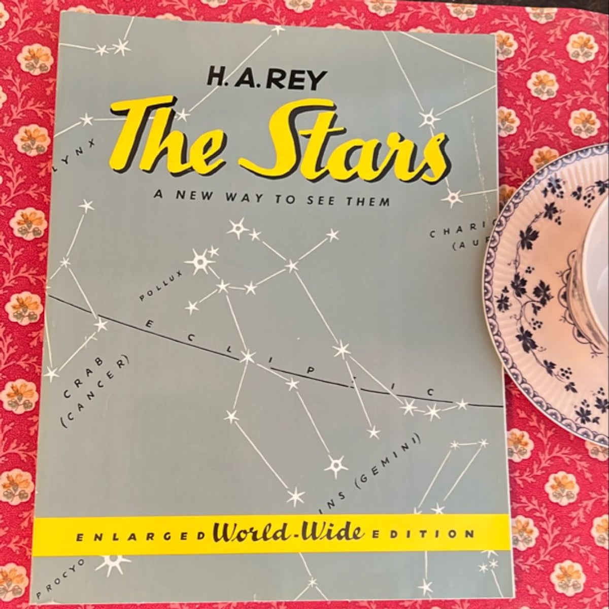 The Stars by H. A. Rey