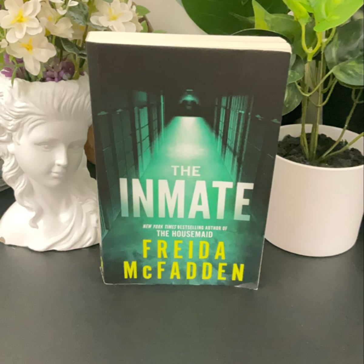 The Inmate by Freida McFadden