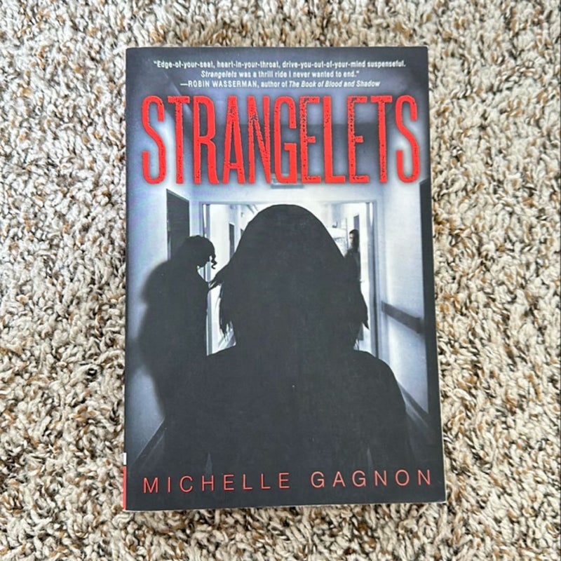 Strangelets