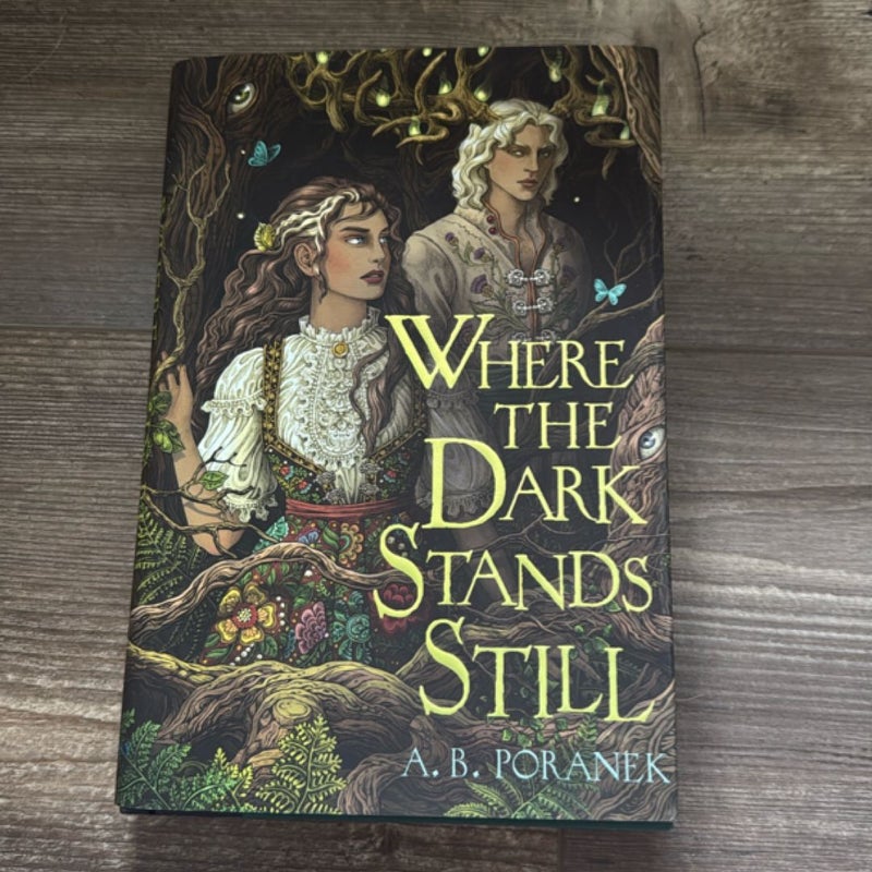 Where the Dark Stands Still