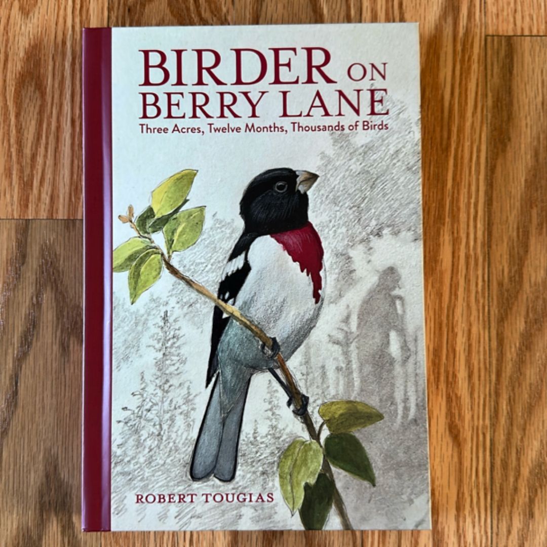 Birder on Berry Lane