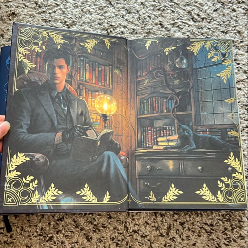 The Wren in the Holly Library - Fairyloot edition