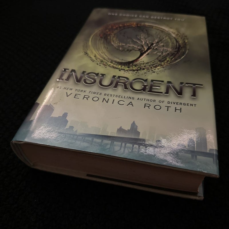 Insurgent