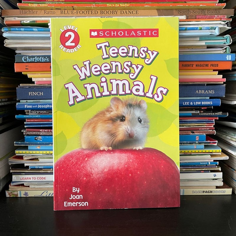 Teensy Weensy Animals