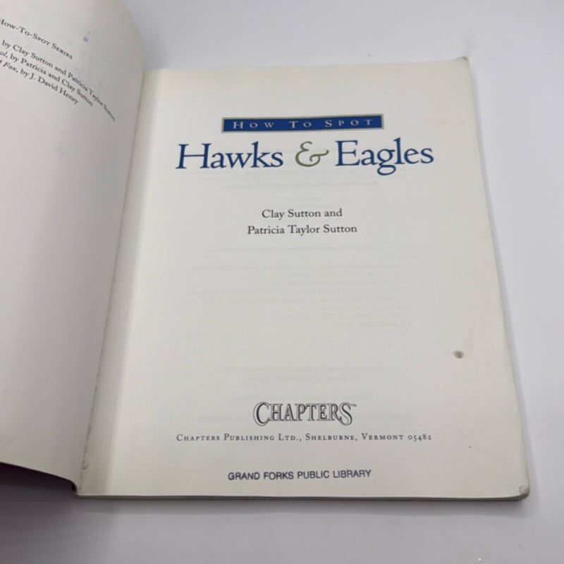 How to Spot Hawks and Eagles