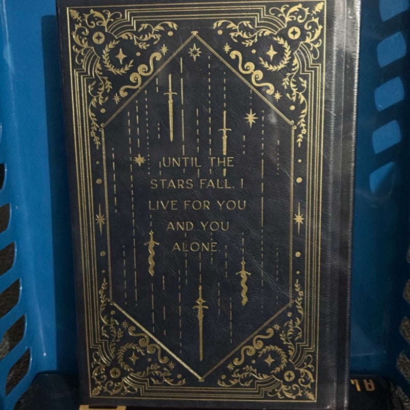 Until the Stars Fall