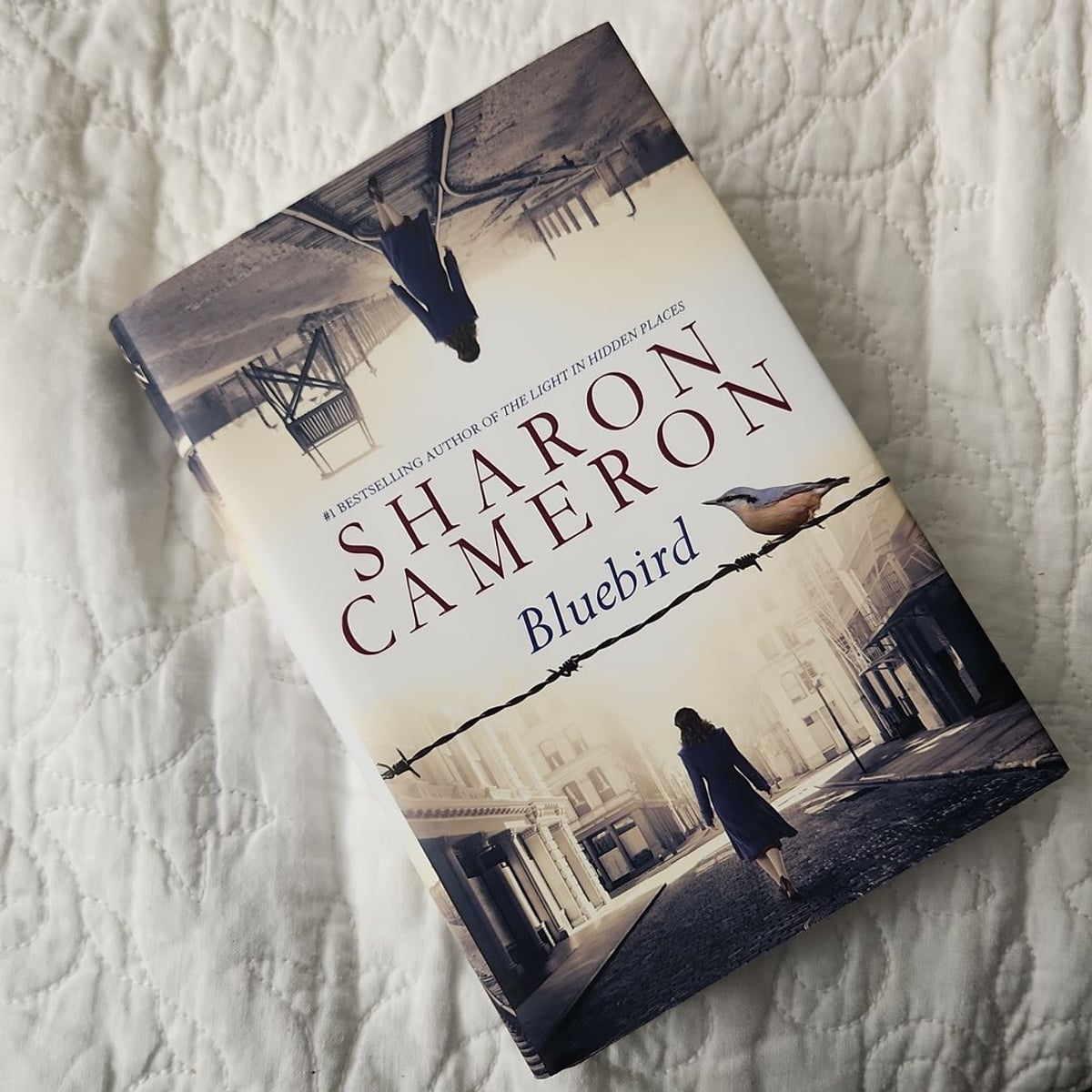 Bluebird by Sharon Cameron, Hardcover | Pangobooks