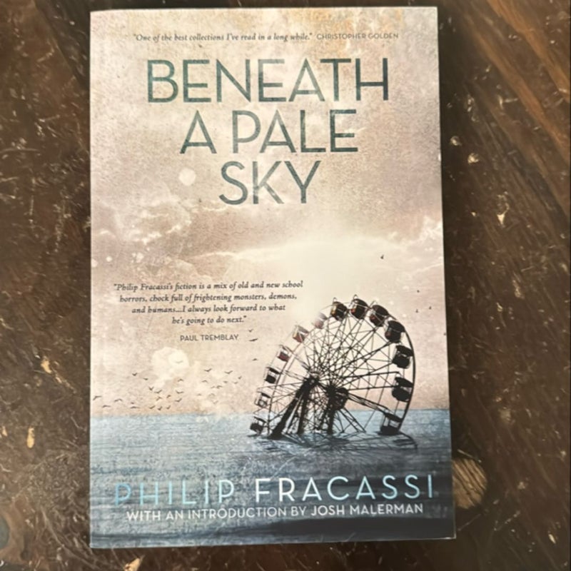 Beneath a Pale Sky