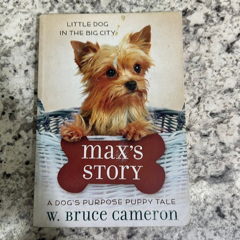 Max’s Story