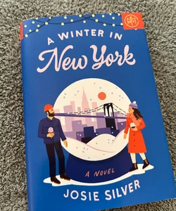 A Winter in New York