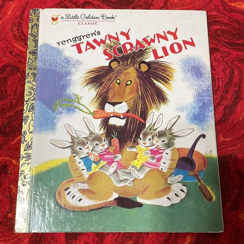 Tawny Scrawny Lion