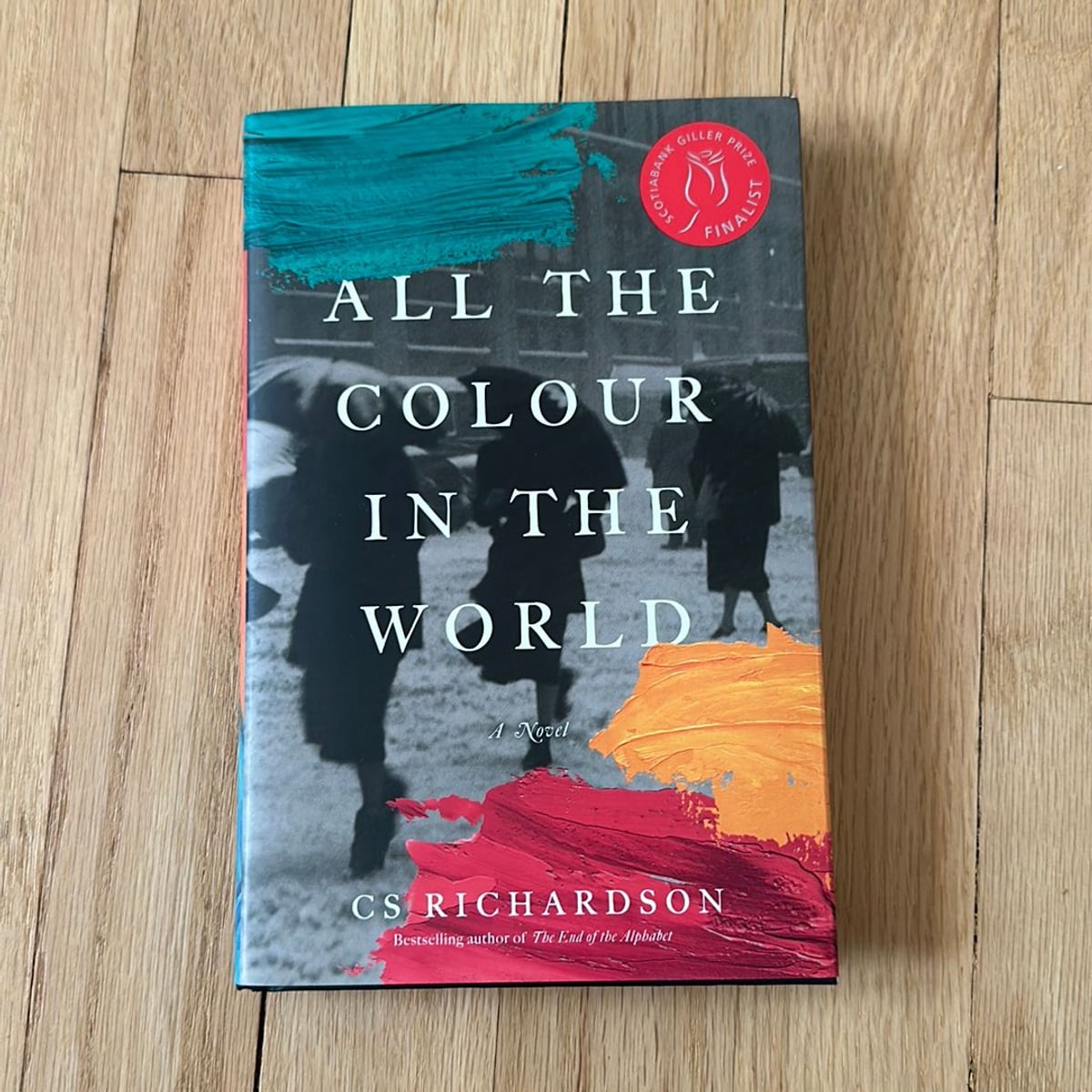 All the Colour in the World by C. S. Richardson