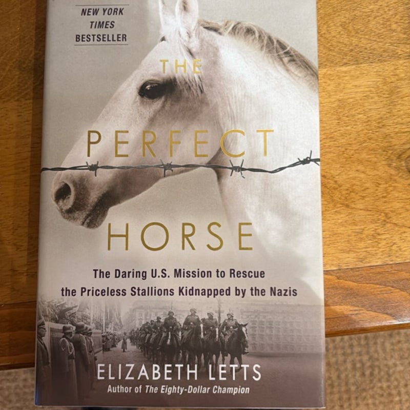The Perfect Horse