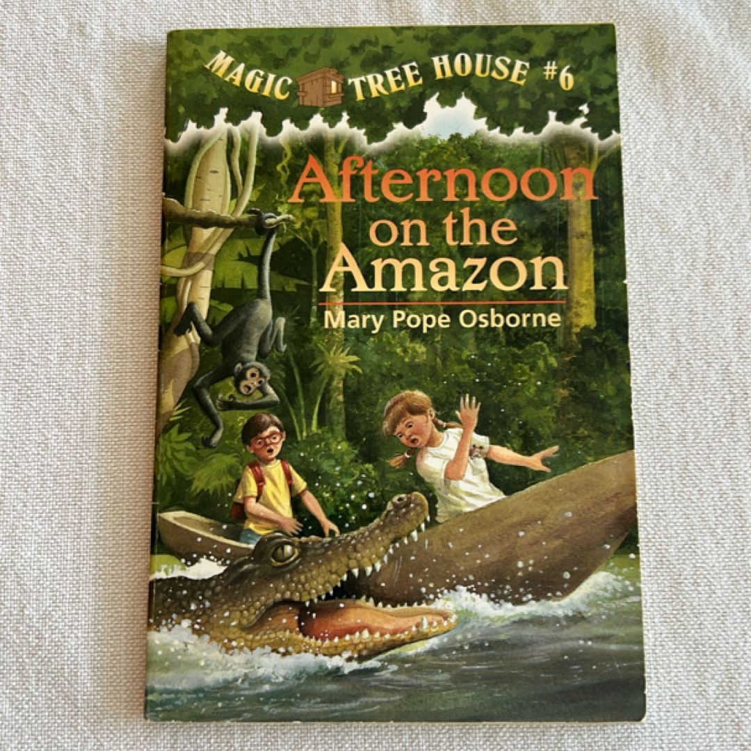 Afternoon on the Amazon