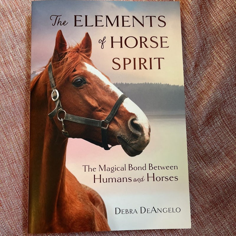 The Elements of Horse Spirit